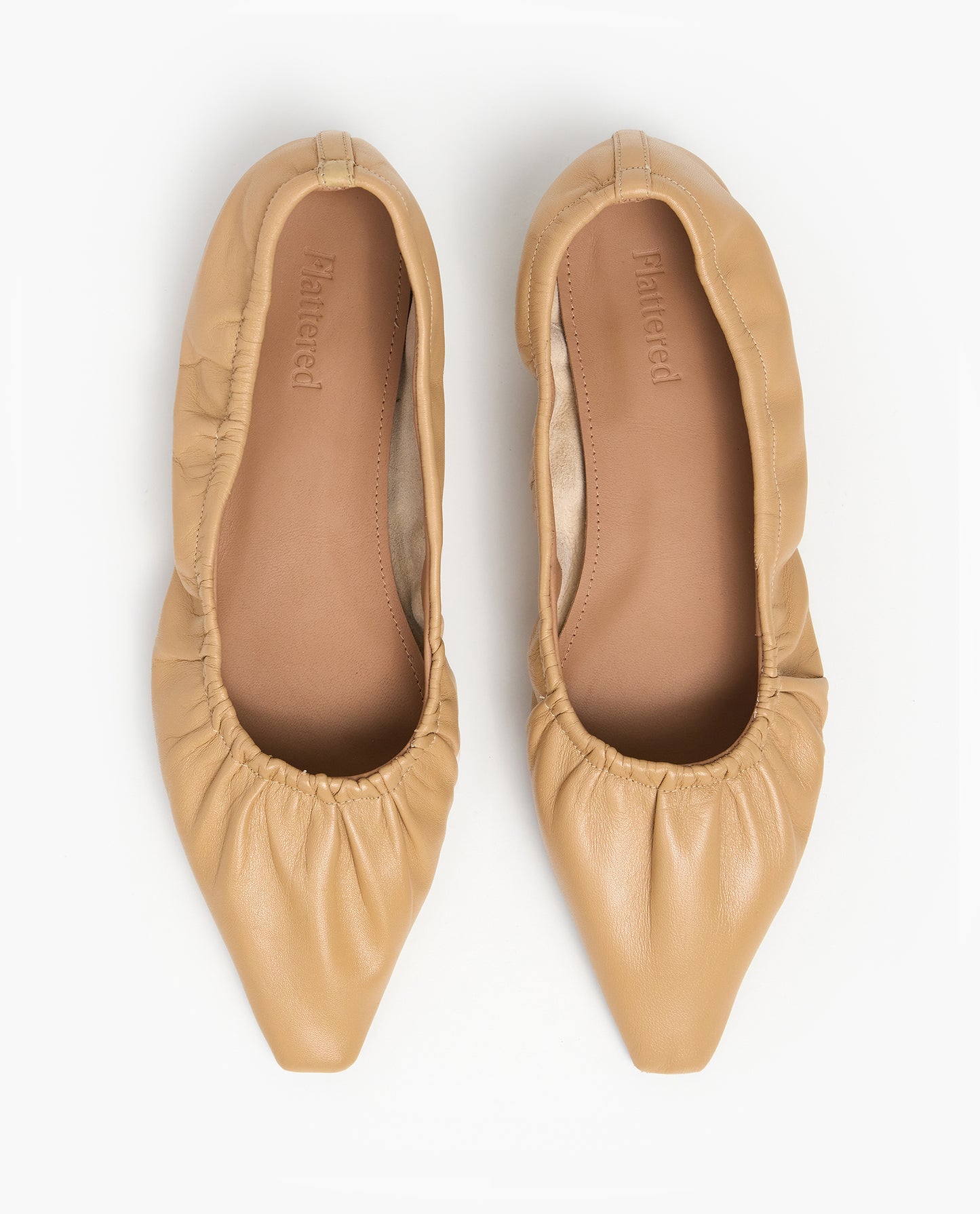 Isa Leather Biscotti